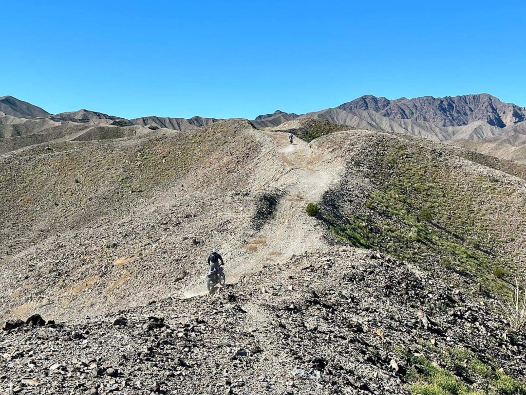 trail 1 dual sport